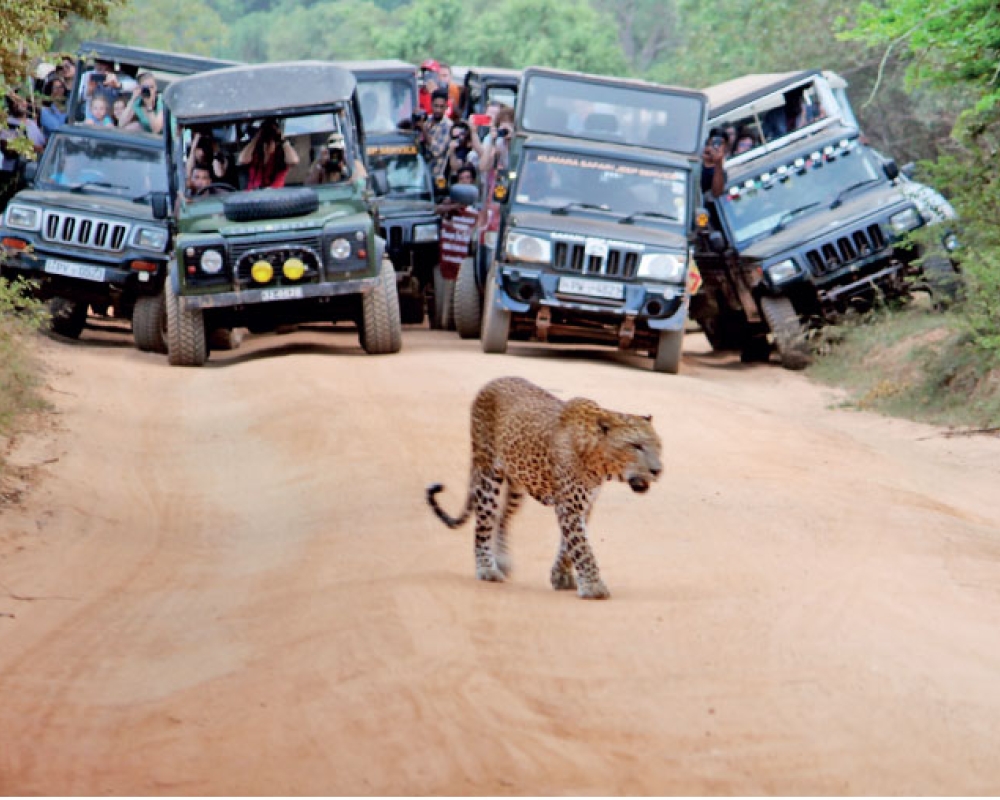 Exclusive of Sri Lanka