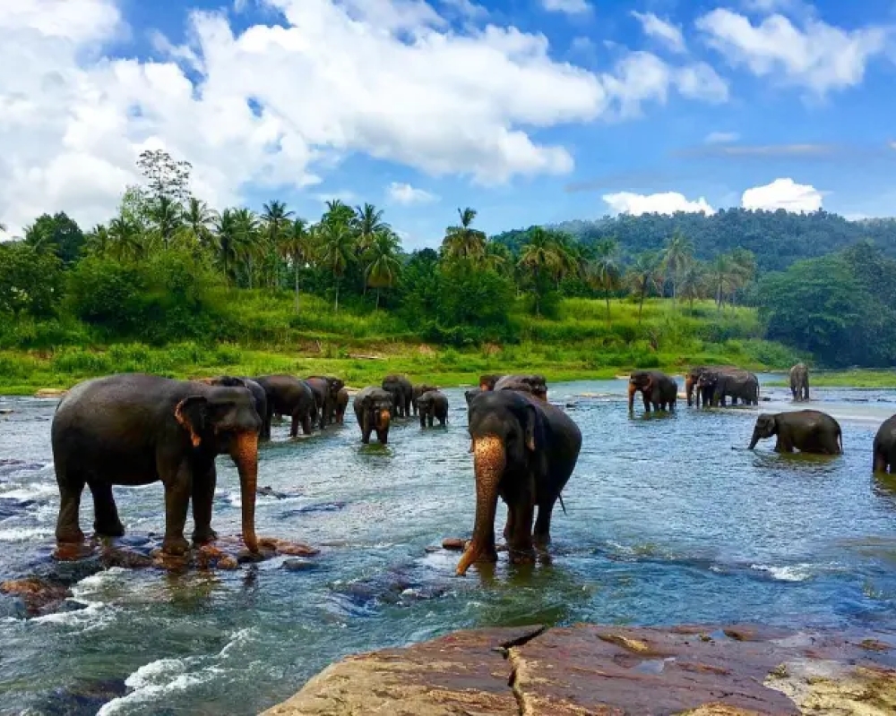 Explore of Sri Lanka